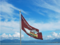 /album/fotogaleria-fotogaleria/comercial5-png/